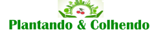Logo Plantando2.png